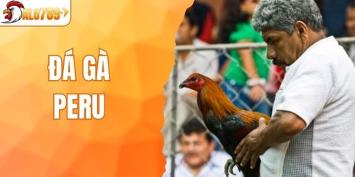 Đá Gà Peru - Kèo Cược Gắt Dành Cho Anh Em Tại ALO789
