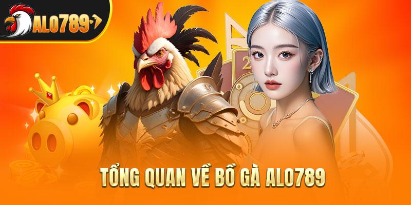 Khái quát về bồ gà ALO789
