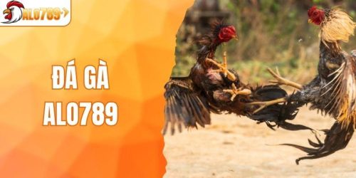Trải Nghiệm Cá Cược Đá Gà ALO789 Đa Dạng Thể Loại