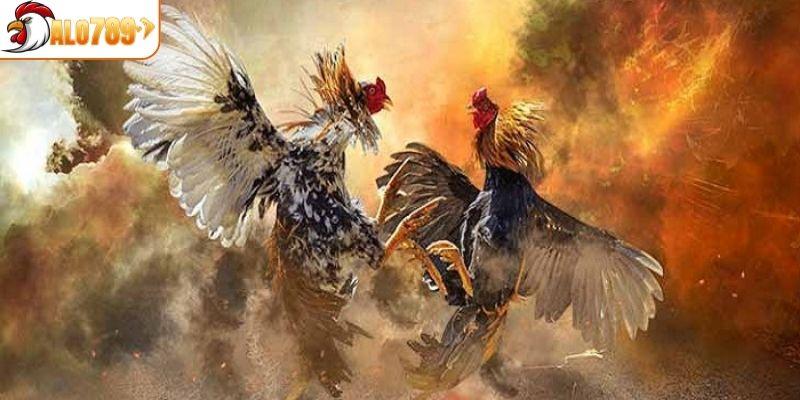 Các hình thức để anh em cá cược đá gà tại ALO789