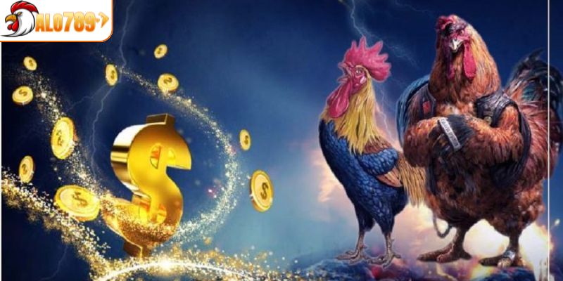 Chia sẻ về cá cược đá gà cửa sắt tại ALO789
