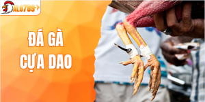 Đá Gà Cựa Dao - Game Cá Cược Đỉnh Cao Tại ALO789