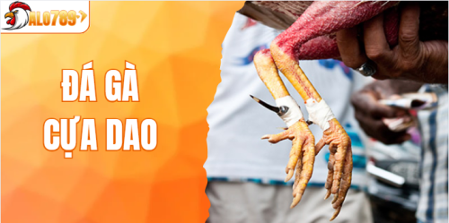Đá Gà Cựa Dao - Game Cá Cược Đỉnh Cao Tại ALO789