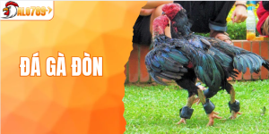 Đá Gà Đòn - Game Cược Đậm Chất Chiến Thuật Trên ALO789