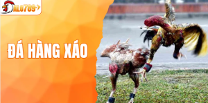 Đá Hàng Xáo - Cuộc Chơi Không Luật Nhưng Đầy Mưu Mẹo